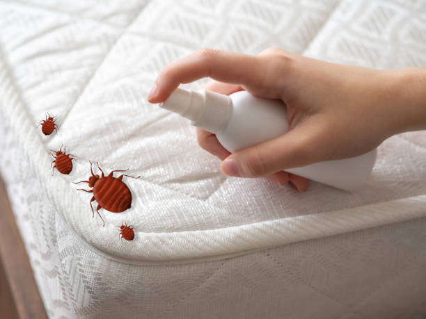 Best Bed Bug Extermination  in Mohnton, PA